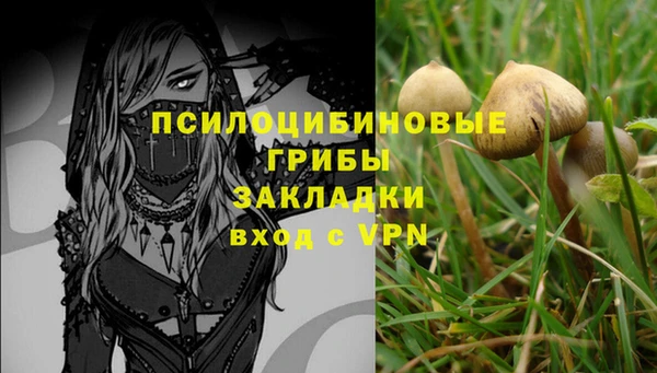 кокаин Белокуриха