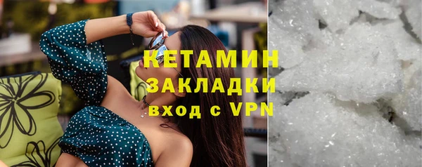 прущие грибы Нея