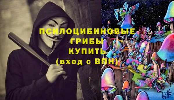 кокаин Белокуриха