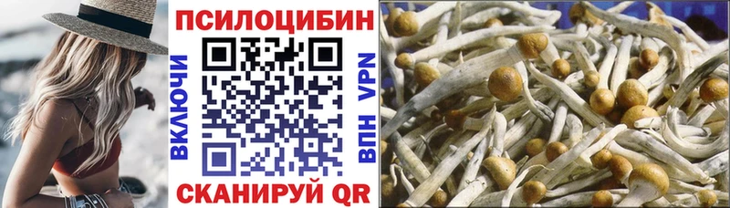 МЕГА как войти  Малоярославец  Псилоцибиновые грибы мухоморы 